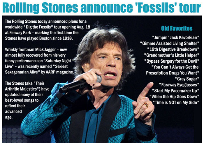 stones-fossils9