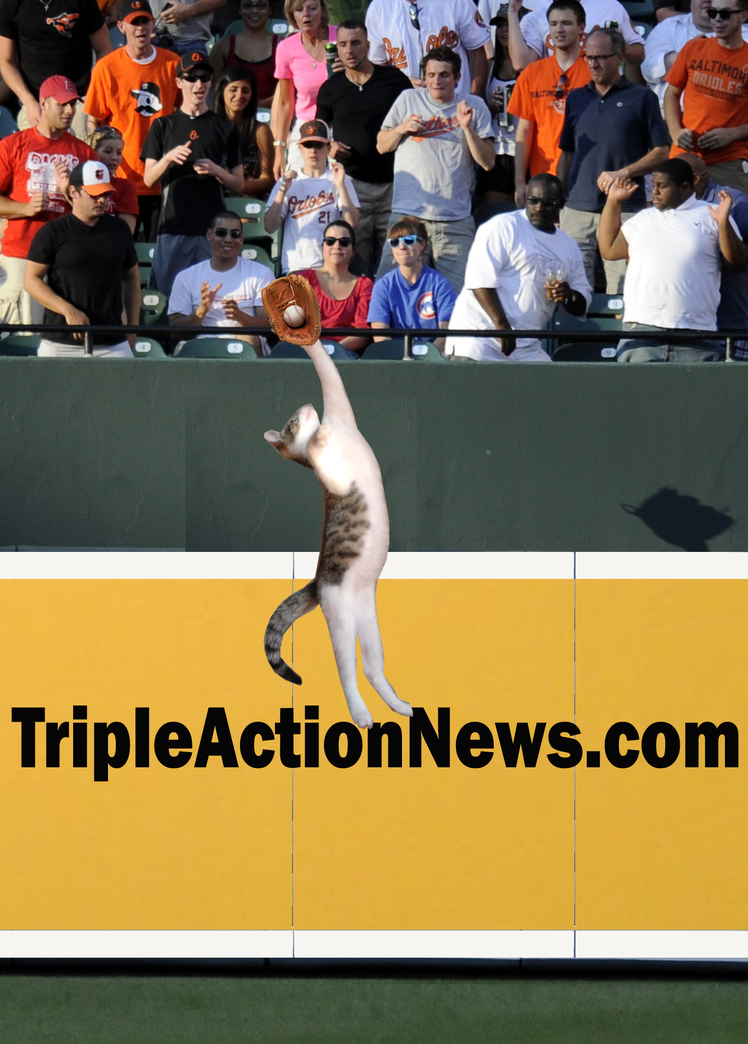 Amazing! I just learned that my cat, Elwood, played center field for the Tigers back in 2007. Here he is robbing Alex Rodriguez of a game-winning home run in a 2-1 win over the Yankees.